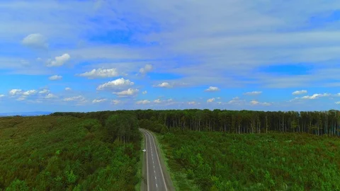 The road through the forest. Highway top view on sunny day. Stock Footage 116887227