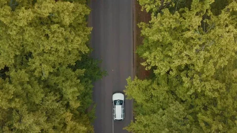 The road through the forest. Highway top view at sunset day. Cars drive alon Stock Footage 129894039