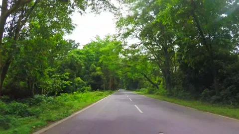 Road through the forest in india Stock Footage 220414309