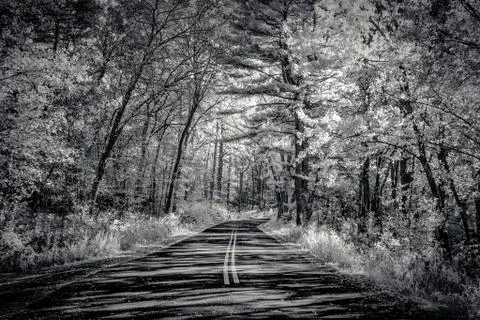 Road Through the Forest at Interstate State Park in the American Midwest Stock Photos