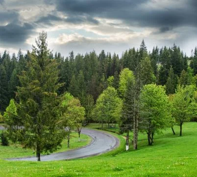 Road through forest . Stock Photos