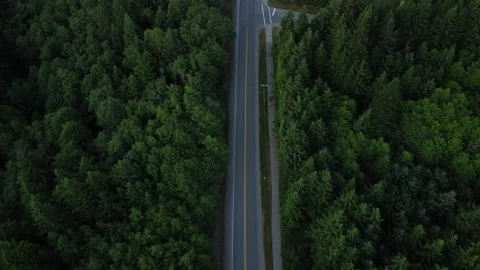 A road through a forest in a remote community Stock Footage 163167708