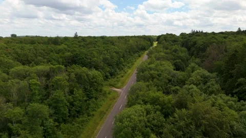 Road through forest in summer, path through deciduous trees, rural countryside Stock Footage 336621300