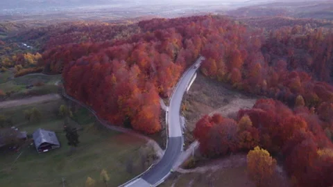 Road through the forest at sunset with beautiful colors of fall Stock Footage 164382492