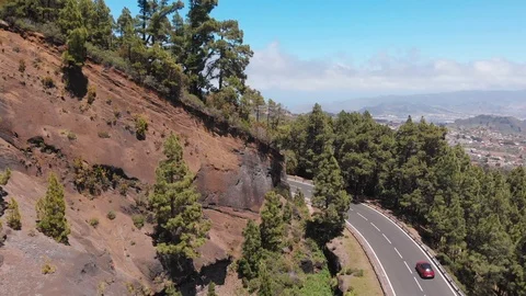 Road through the forest with tall trees, serpentine in the mountains of Tenerife Stock Footage 110895225