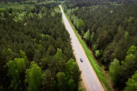 The road through the forest. Top view. Stock Photos