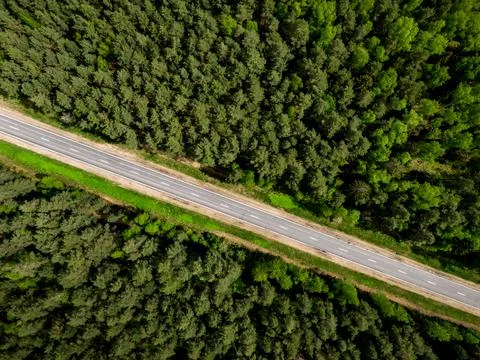 The road through the forest. Top view. Stock Photos