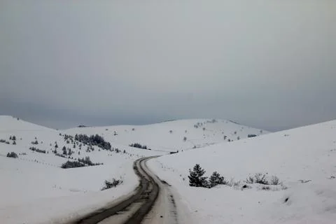 Road through forest with trees covered with snow Stock Photos