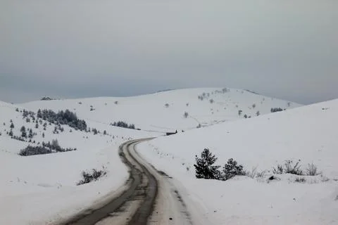 Road through forest with trees covered with snow Stock Photos