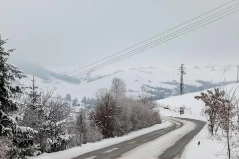 Road through forest with trees covered with snow Stock Photos