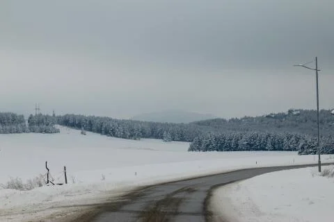 Road through forest with trees covered with snow Stock Photos