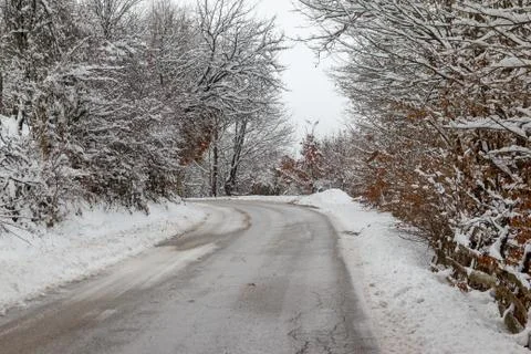 Road through forest with trees covered with snow Foto stock