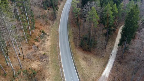 Road through a forest with a turn, tall pines, conifers Stock Footage 127023682
