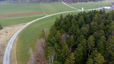 Road through a forest with a turn, tall pines, conifers Stock Footage 127063217