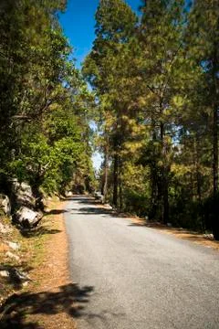 Road through forest, uttarkashi district, uttarakhand, india Stock Photos