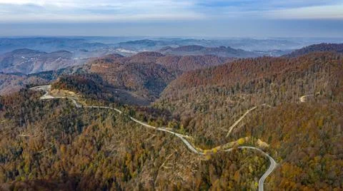 The road through the forest was shotfrom the air with a Drone. Stock Photos