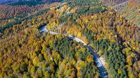 The road through the forest was shotfrom the air with a Drone. Stock Photos
