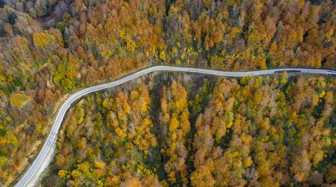 The road through the forest was shotfrom the air with a Drone. Stock Photos