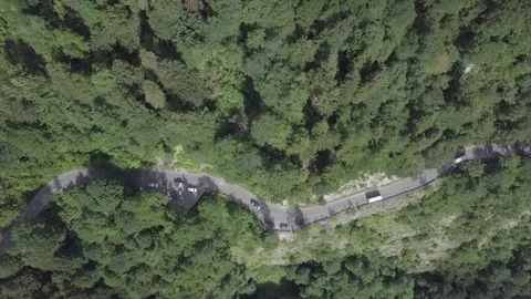 The road through the forests in Abkhazia. Stock Footage 148655760