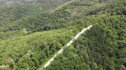 Road through Fruska Gora Forrest, Serbia, Aero View Stock-Footage 201208761