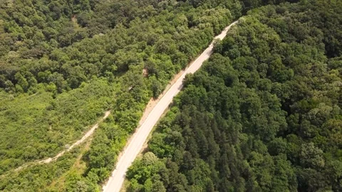 Road through Fruska Gora Forrest, Serbia, Aero View 02 Stock Footage 201208762