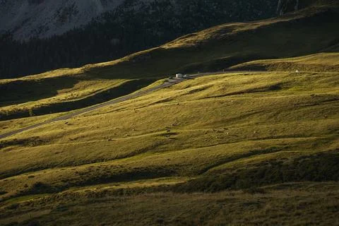 A road through a grassy hillside with trees in the back Stock Photos