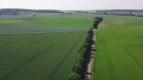 Road through a green field with wheat Stock Footage 155935459