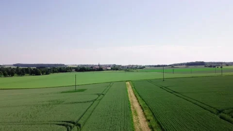 Road through a green field with wheat Vídeos de archivo 155935542