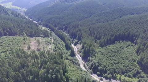 Road through a green forest. flight quadrocopters Stock Footage 67385293