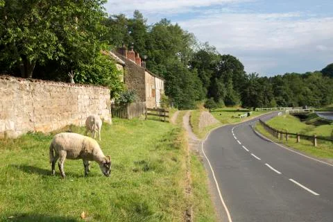 Road through Hutton le Hole Village, North York Moors, Yorkshire Stock Photos
