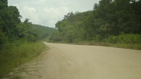 Road through Indonesian forest Stock Footage 213280190