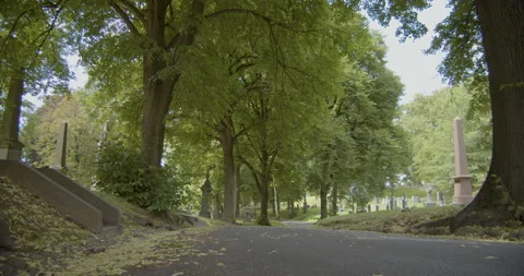 Road through large cemetery with windy trees 库存影片 135361528