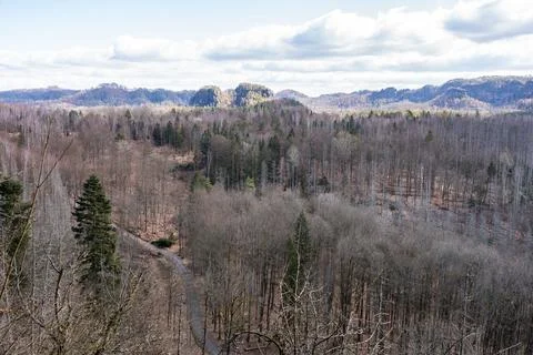 Road through leafless forest between some mountains Stock Photos
