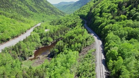 Road Through Lush Forest In The White Mountains, Surrounded By Rolling Green Stock Footage 338431473