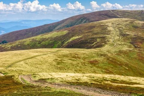 Road through a meadow on hillside Stock Photos