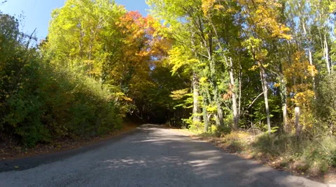 Road through mixed forest, GoPro Stock Footage 56739520