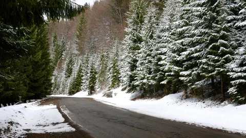 Road through the mountain forest. Snow in early spring. Stock Footage 74749616