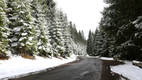 Road through the mountain forest. Snow in early spring. Stock Footage 74749635