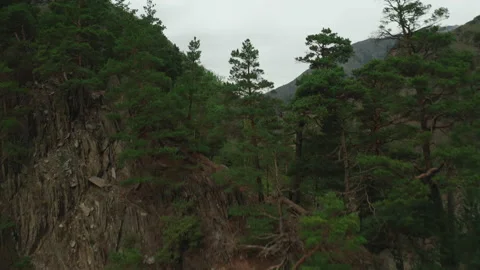 The road through the mountain gorge Stock Footage 165565588