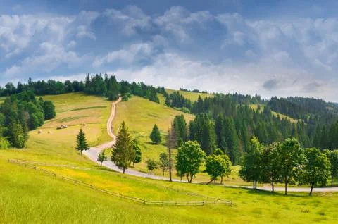 Road through mountains. Stock Photos