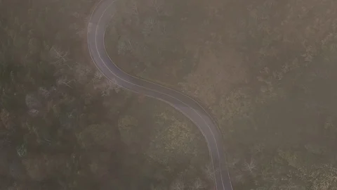A road through the mountains, surrounded by trees with mist, fog and cloud Stock Footage 127829098