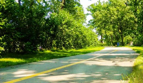 Road through the park Photos