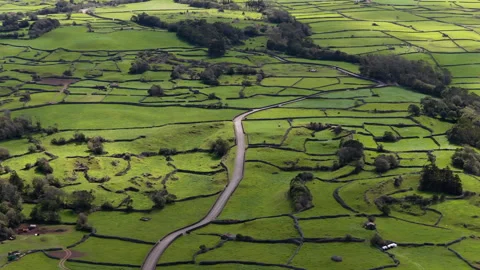A Road Through Patchwork Green Fields Of Terceira Island In The Azores Video stock 334763620