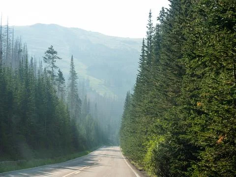 Road through pine trees through the Rocky Mountains. Journey travel photo Stock Photos