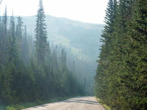 Road through pine trees through the Rocky Mountains. Journey travel photo Stock Photos