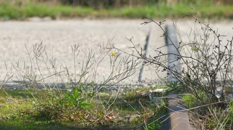 Road through the rails Stock Footage 68737502