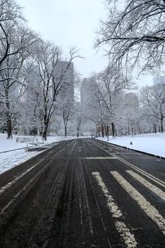 Road through snow covered Central Park, New York City Stock Photos