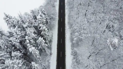 Road through snow-covered forest, tracking shot - aerial view Stock-Footage 146707452