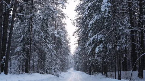 Road through the snow-covered winter forest 스톡 동영상 85139429
