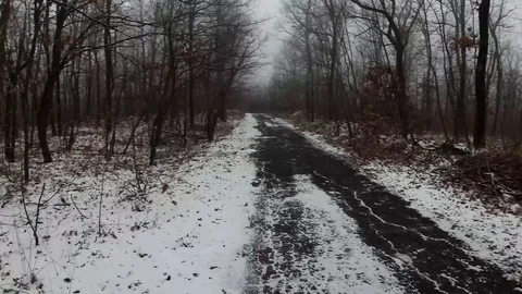 A Road Through the Snow in a Winter Day at the Forest of Strandzha Mountain Stock-Footage 106348125
